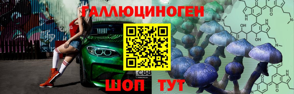 Губаха  Галлюциногенные грибы MAGIC MUSHROOMS  Псилоцибиновые грибы GOLDEN TEACHER  цена   Вход с VPN 
