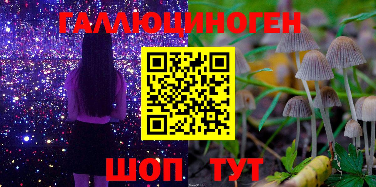 Псилоцибиновые грибы прущие грибы Губаха